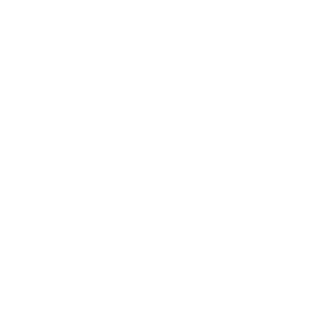 Mentorin nach Maas Logo